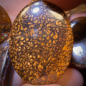 157.1cts - 5x Australian Tribal Boulder Opal’s. Wholesale Dealers Parcel