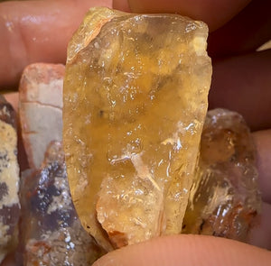 93.6cts - 5x Opalised Fossil Geological Specimens from Lightning Ridge