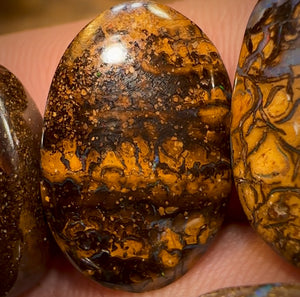 đ 55.7cts - 5x Finished Queensland Boulder Opal Parcel