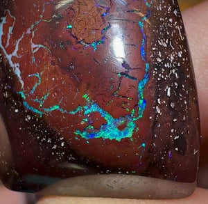 101.3cts - Tribal Pattern Koroit Nut Opal Pair - Opal Whisperers