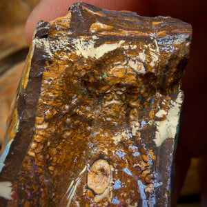 377.3cts - Top Seam + Tribal Queensland Boulder Opal Rough Piece