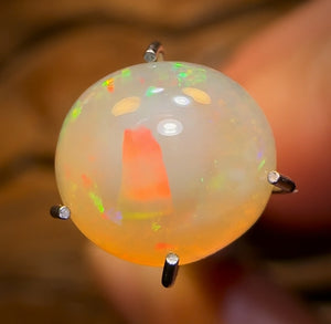 “Golden Dome” 1.74cts - Unique South Australian Golden Crystal Opal Great High Dome Cut