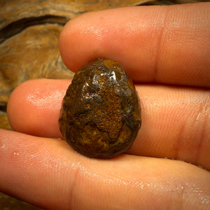 25.4cts - Yowah Nut Crystal Centre Opal Rough Piece