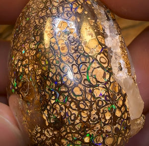 243.8cts - Rare Polished Tribal Yowah Nut Opal Geological Specimen with Gypsum