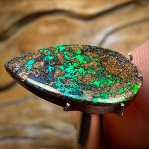 6.5cts - “Fire Fly” Top Queensland Boulder Seam Opal