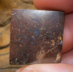 33.5cts - Queensland Boulder Opal. Australian Opal  - Opal Whisperers
