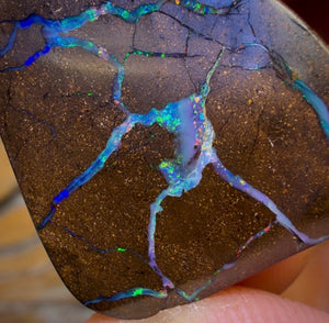 31.2cts - Queensland Boulder Seam Opal. Multicolours!