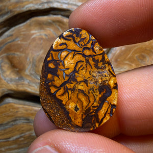 OpalFest WildCard! 22.1cts - Tribal Yowah Nut Opal. Australian Opal