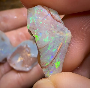 The 86.6cts - 4x Opalised Shell Geological Specimens from South Australia - Opal Whisperers