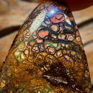 Bargain Card! 52.1cts - “Electric Swirls”Tight Tribal Queensland Boulder Opal from Yowah