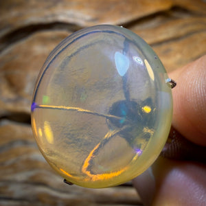 Australischer Opal in reiner Kristallqualität von Lightning Ridge, 21,2 Karat