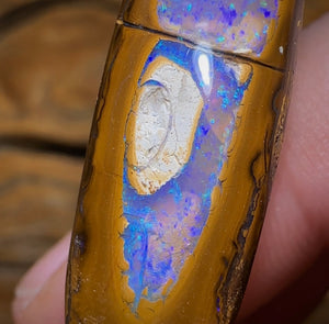 35.6cts - “Tree Segments” Yowah Opal Fossil Wood Replacement