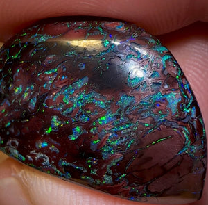 41.1cts - Tribal Koroit Nut Opal Specimen. Double Sided Rare Half Polished Nut - Opal Whisperers