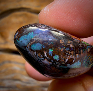 77.5cts - Wow Electric Tribal Australian Boulder Opal from Koroit Eye Kernal Reverse