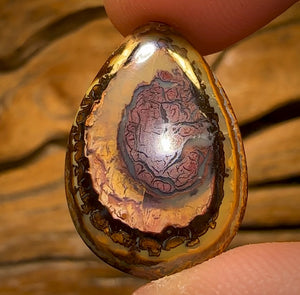 13.7cts - Yowah Nut Kernel Opal. Australian Boulder Opal