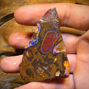 299.1cts - Yowah Nut Conglomerate Rough Piece. Featured On ‘OUTBACK OPAL HUNTERS’!!