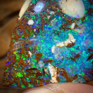22.7cts - Top Queensland Boulder Opal from Yowah