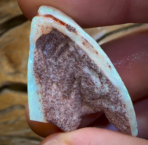 22.1cts - Opalised Shell Rare Geological Specimen from South Australia