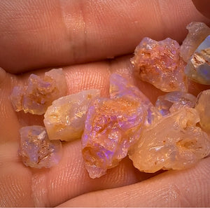 63.3cts - 12x Opalised Fossil Geological Specimens from Lightning Ridge