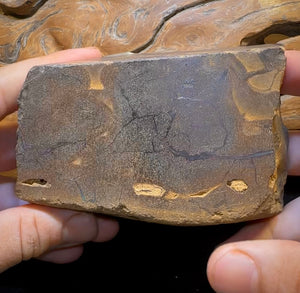 906g - Large Queensland Boulder Opal Rough Specimen from Winton - Opal Whisperers