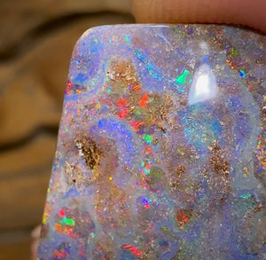 21.9cts - Red Multicolour, Queensland Boulder Opal from Winton - Opal Whisperers
