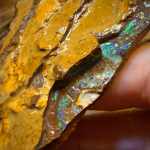293,7 ct - Yowah Opal Rohstück. Keksband