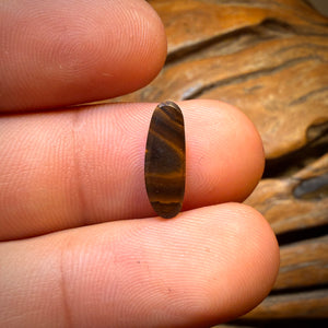 🔨 AUCTION 🔨 Reserve 💎 High Roller Banger Auction 💎 2.5cts - Black Queensland Boulder Seam Opal from Winton