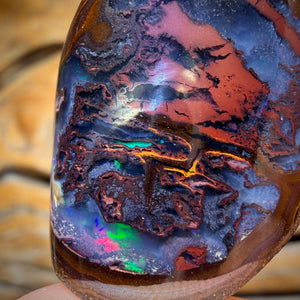 53.6cts - Yowah Nut Kernel Opal. Polished Specimen