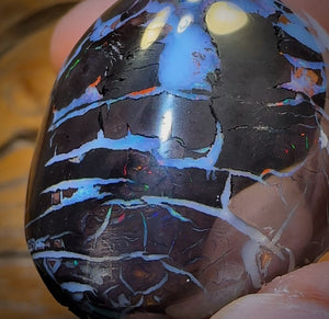 251.5cts - BIG Rare Tribal Black Boulder Opal Polished Specimen