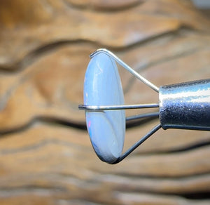 2.6cts - Australian Semi Black Opal from Lightning Ridge Flag / Harlequin type Pattern - Opal Whisperers