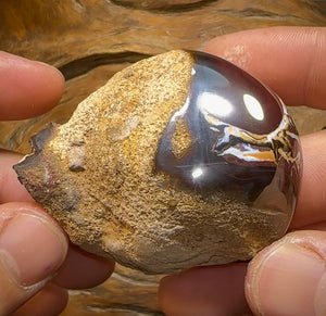 465cts - Australian Boulder Opal Specimen Tribal Nut Skin - Opal Whisperers