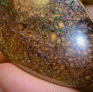 145.5cts - Large Queensland Boulder Opal. Yowah Tribal - Opal Whisperers