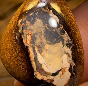 🔨 AUCTION 🔨 15.4cts - Yowah Nut Kernel Opal. Australian Boulder Opal