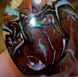 20.9cts - Wow Top Tribal Boulder Opal Picture Stone from Koroit
