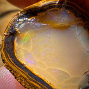Awesome 🔨 AUCTION 🔨 Action 29.7cts - Yowah Nut Crystal Centre Opal Rough Half