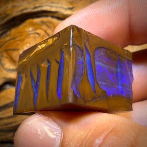 199.2cts - Found whilst Filming for Discovery Channel Duck Creek Boulder Opal Rough Preform