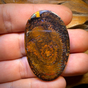 63.1cts - Tribal Queensland Boulder Opal from Yowah