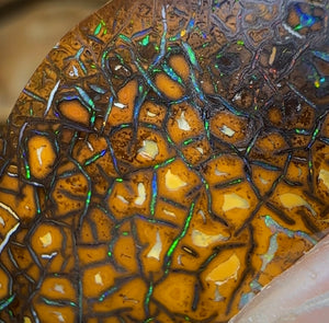 38cts - ‘Green Honey’ Tribal Queensland Boulder Opal - Opal Whisperers