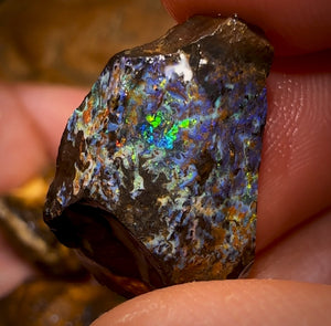 202.3cts - 6x Queensland Boulder Rough Opal Parcel. Yowah Nut >$1/ct