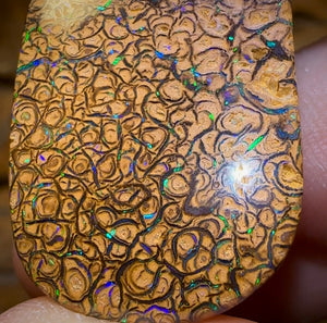 52.3cts - Yowah Nut Tan Tribal Opal. Double Sided - Opal Whisperers
