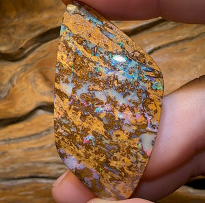 65.3cts - Large Australian Boulder Wood Fossil Opal Multicolour - Opal Whisperers