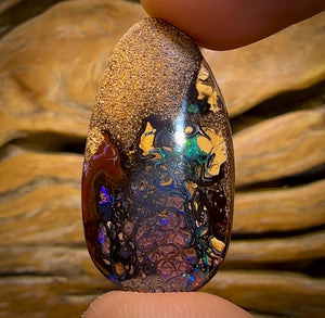 45.6cts - Tribal Queensland Boulder Opal. Australian Opal