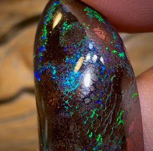 25.4cts - Koroit Nut Tribal Opal. Australian Opal - Opal Whisperers