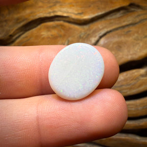 🔨 AUCTION 🔨 No Reserve 9.6cts - South Australian White Opal