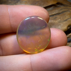 Australischer Opal in reiner Kristallqualität von Lightning Ridge, 21,2 Karat