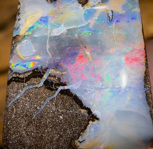 71cts - Queensland Boulder Seam Opal Red Multicolour - Opal Whisperers