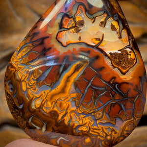 44.8cts - Top Tribal Koroit Nut Opal. Double sided