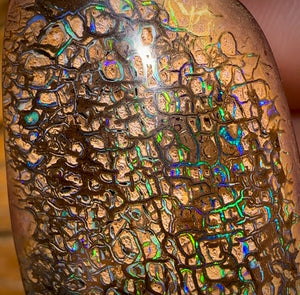 151.3cts - Top Tight Tribal Yowah Nut Opal