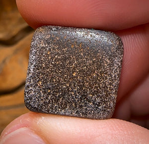 19.8cts - “Aquatic Rectangle” Queensland Boulder Opal from Winton - Opal Whisperers