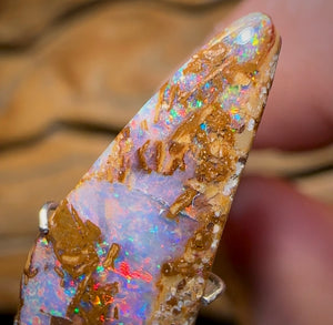 6.2cts - Queensland Boulder Pipe Opal from Yowah with Red